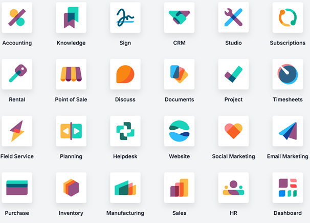 Odoo’s Journey: How Fabien Pinckaers Built More Than Just Software